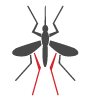 Mosquito