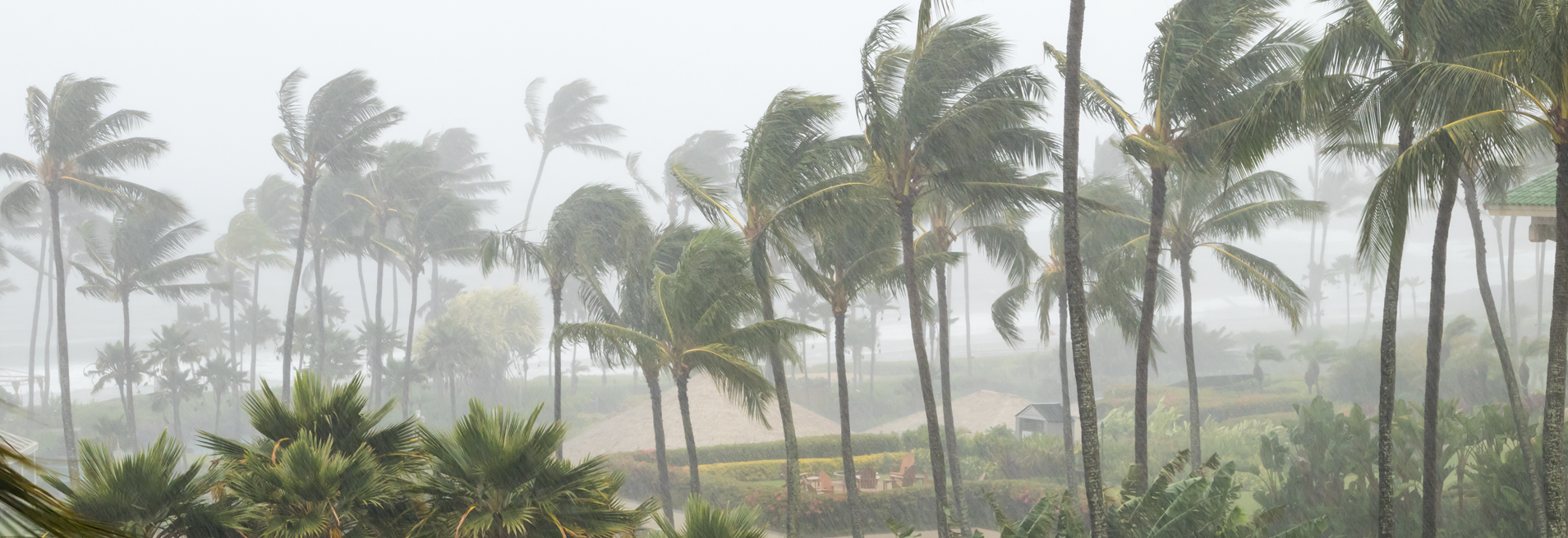 Hurricane